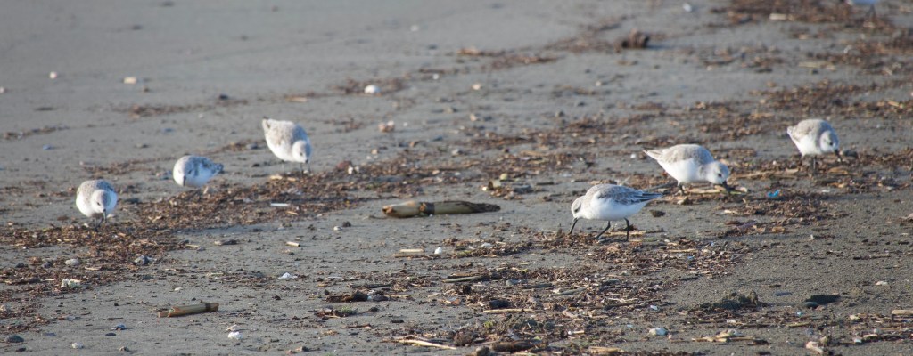 A trip to the beach and a hill&nbsp;climb